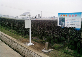 河南農(nóng)作物病害（赤霉病、晚疫?。?shí)時監(jiān)測預(yù)警儀