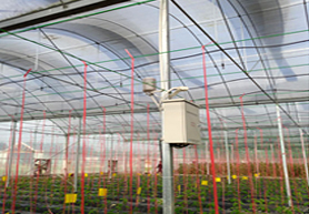 鄭州揚塵監(jiān)測